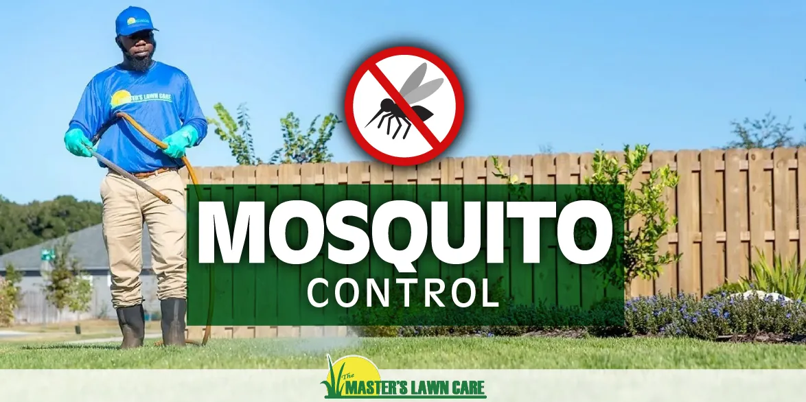5 Ways to Reduce Mosquitoes in Your Yard The Masters Lawn Care